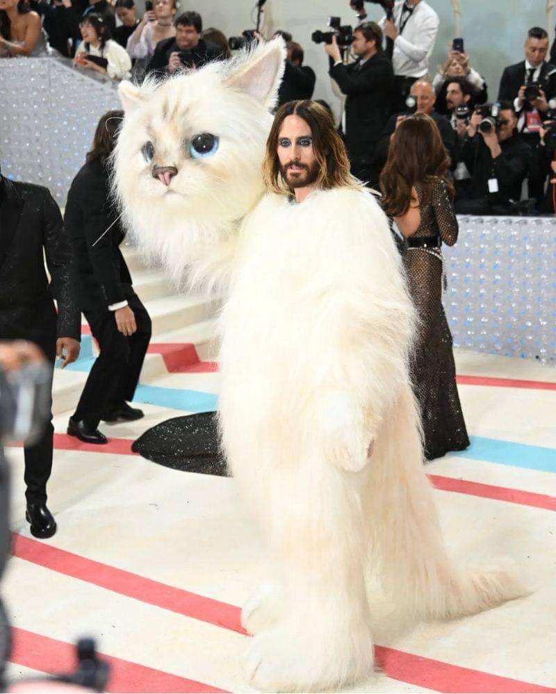 instagram.com/metgalaofficial_